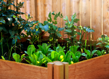 Skrzynia na warzywa z palet