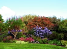 Jesienna rabata Jesienna rabata