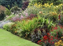 Roczna licencja COLOURFUL HERBACEOUS BORDERS AT THE PRIORY, KEMERTON, HEREFORD & WORCESTER WITH HELENIUMS, DAHLIAS & CROCOSMIA SLOWA KLUCZOWE: BORDERS COLOURFUL CROCOSMIA DAHLIAS EDIBLE HELENIUMS HERBACEOUS HEREFORD KEMERTON LATE SUMMER PRIORY TUBER WORCESTER 000 AESTIVAL APFELSINE APFELSINEN AUSSEN BEET Beete BLUMENBEET BLUMENBEETE borders CITRUS SINENSIS COLOURFUL Crocosmia Dahlias drau?en edible ESTIVAL FLOWER BED FLOWER BEDS FLOWER BORDER FLOWER BORDERS GAERTEN GARDEN GARDENS Garten G?RTEN GBA gelb GELBE GELBEM GELBEN GELBER GELBES HELENIUMS Heliopsis HERBACEOUS HEREFORD Hochsommer H?henstaffelung KEMERTON late summer MIDSUMMER Mixed Border MIXED BORDERS MONTBRETIA MONTBRETIAS MONTBRETIE MONTBRETIEN ORANGE COLOUR orange Farbe ORANGE FRUCHT ORANGEFARBEN ORANGEFARBENE ORANGEFARBENEM ORANGEFARBENEN ORANGEFARBENER ORANGEFARBENES ORANGEM ORANGEN ORANGES FARBE OUTDOOR OX EYE OX EYES Prachtstauden PRIORY quer QUERFORMAT QUERFORMATE Rabatte RABATTEN Sommer SOMMERLICH SOMMERLICHE SOMMERLICHEN SOMMERLICHER SOMMERLICHES SONNENAUGE SUMMER SUMMERLIKE SUMMERLY SUMMERY TUBER WORCESTER YELLOW