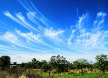 Chmury wysokie, zwłaszcza cirrusy i cirrostratusy, zagęszczające się na zachodniej stronie nieba zwiastują pogorszenie się pogody. Chmury wysokie, zwłaszcza cirrusy i cirrostratusy, zagęszczające się na zachodniej stronie nieba zwiastują pogorszenie się pogody.