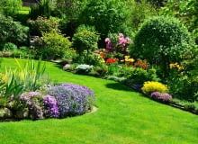 Zaplanuj swój ogród Zaplanuj swój ogród