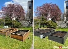 Warzywniak w skrzyniach Warzywniak w skrzyniach