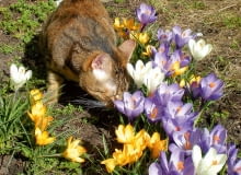 7Vojn8o/ss~`?I$H-/k)sNV]u;{Oh{KX{7,:7{.o3wkPmDj8a@a[).kLVn3n9n5-UnuWMZ6zZYYt7sw;3zH\^9M$8UD\_/}9N3f^^+o~\do.~[Flgs1nofdaS0h~,};>zKQR8}5X\d