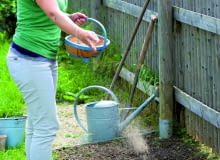 Nawozy posypowe rozsiewamy na powierzchni gleby przed wysiewami, następnie grabiami mieszamy z jej górną warstwą. Nawozy posypowe rozsiewamy na powierzchni gleby przed wysiewami, następnie grabiami mieszamy z jej górną warstwą.