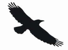 Rysunek ptaka drapieżnego na szybie odstrasza i chroni małe ptaki przed zderzeniem z szybą