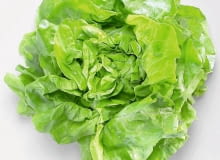 MASŁOWA 'MODESTA' 27.06.2005 ZDJECIA DO ARCHIWUM WARZYWA OWOCE ZIOLA SALATA STYLIZACJA JOANNA SZACHOWSKA FOT. PAWEL KISZKIEL / AGENCJA GAZETA PUBLIKACJA DZIECKO NR 5 - 5.2006 SLOWA KLUCZOWE: ZYWNOSC ZDJĘCIE DO WKŁADKI: PUBLIKACJA DZIECKO NR 5 - CZASOPISMA