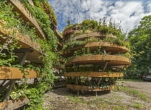 Nieskończony Zielony SONY DSC