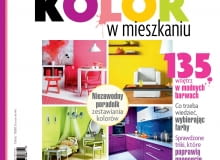 Kolor we wnętrzu, autor: Elżbieta Błasikiewicz, wyd. Agora Kolor we wnętrzu, autor: Elżbieta Błasikiewicz, wyd. Agora