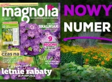 Magazyn Magnolia Magazyn Magnolia