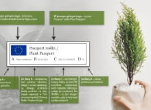 Paszport roślin Paszport roślin