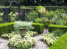 Mały ogródek ujęty w karby geometrii. Przestrzeń podzielono tu na kilka mniejszych 'pomieszczeń' za pomocą ażurowego płotu i niskich strzyżonych żywopłotów z bukszpanu. Taki zabieg optycznie powiększył przestrzeń Small garden with Buxus hedges