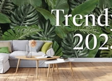 1. Mural egzotyczne liście 400 x 280 cm 599.00 zł 2. Poduszka Leya beżowa i szara 49.90 zł/szt 3. Poduszka z guzikiem Vintage 35.50 zł 4. Panele podłogowe dąb Tanganika 89.99 zł/m2 1. Mural egzotyczne liście 400 x 280 cm 599.00 zł 2. Poduszka Leya beżowa i szara 49.90 zł/szt 3. Poduszka z guzikiem Vintage 35.50 zł 4. Panele podłogowe dąb Tanganika 89.99 zł/m2