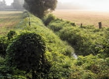 Do strumieni i rowów nie wolno odprowadzać żadnych ścieków Do strumieni i rowów nie wolno odprowadzać żadnych ścieków