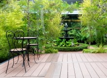 Drzewa do donic na taras