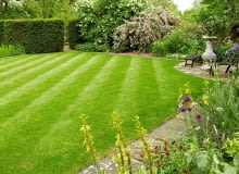 OGROD TRAWNIK FOT. KATARZYNA BELLINGHAM PUBLIKACJA OGRODY NR 4 (108) - 4 2008