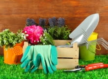 Całoroczne prace porządkowe i pielęgnacyjne ułatwią nam dobre i trwałe narzędzia ogrodnicze