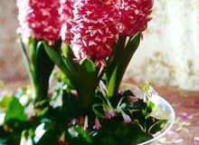 DO JEDNORAZOWEJ PUBLIKACJI