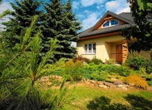 Okruchy skał i niektóre rośliny to sentymentalne pamiątki przywiezione z gór.