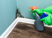 Grzyb na ścianach.   Jak go skutecznie usunąć?