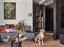 Jak wygląda mieszkanie fana komiksów? Jak wygląda mieszkanie fana komiksów?