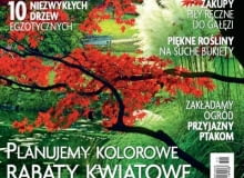 Miesięcznik "Ogrody", numer 11 Miesięcznik "Ogrody", numer 11
