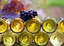 WINOGRONA , WINOROSL WINO JESIEN