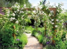 26.05.2010 LONDYN MIEDZYNARODOWA WYSTAWA OGRODOW CHELSEA FLOWER SHOW