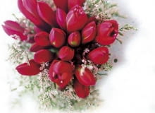 ONE TIME USE ONLY DO JEDNORAZOWEGO UZYCIA