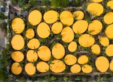 The Second Home Hollywood w Los Angeles. Proj. SelcasGano The Second Home Hollywood w Los Angeles. Proj. SelcasGano