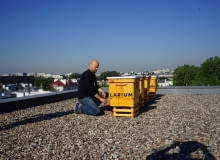 Ule na dachu warszawskiej redakcji "Gazety Wyborczej". Ule na dachu warszawskiej redakcji "Gazety Wyborczej".