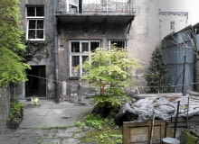 ogród pomiędzy czynszówkami ogród pomiędzy czynszówkami