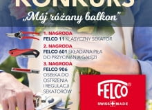 KONKURS PTR „MÓJ RÓŻANY BALKON”