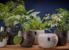 Osłonki BREE Osłonki BREE