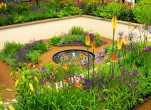 To minioczko jest głównym punktem regularnej ogrodowej kompozycji. Mimo, że skromne przyciąga wzrok To minioczko jest głównym punktem regularnej ogrodowej kompozycji. Mimo, że skromne przyciąga wzrok