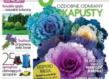 Magnolia Październik