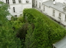 "Lost in Paris" House to zarówno dom jednorodzinny, jak i żywe laboratorium. Na 130 m.kw. czteroosobowa rodzina mieszka w towarzystwie 1200 paproci, które pokrywają fasadę. "Lost in Paris" House, francja, paryż, architektura ekologiczna, dom jednorodzinny