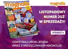 Magazyn Magnolia