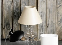 Zawsze były nam potrzebne w codziennym życiu, dzisiaj ich pozycja jest jeszcze mocniejsza. Lampy stały się bowiem przyciągającym wzrok dekoracyjnym elementem wystroju. I to nawet wtedy, gdy nie są włączone. <BR /> WZORNICTWO. Od lewej: 1. Stal, wys. 42,5 cm, projekt z 1931 r..2500 zł mootic.pl 2. Szkło, abażur z tkaniny, wys. 80 cm .467 zł Obi 3. Sklejka, abażur z tkaniny, wys. 30 cm .147 zł Obi 17.01.2014 , LAMPY , STYLIZACJA BEATA DRZEWOSOWSKA . FOT. AREK SCICHOCKI SLOWA KLUCZOWE: WYPOSAZENIE WNETRZ