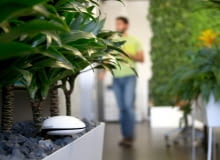 Sensor Koubachi Sensor Koubachi