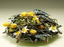 Gotowa kompozycja kwiatowa z narcyzami 30.04.2009 WARSZAWA