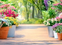 By przydomowy ogród i trawnik cieszyły nasze oczy (a przy okazji wzbudzały zazdrość sąsiadów), muszą być systematycznie pielęgnowane.