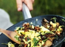 07.07.2009 KUCHNIA GRZYBY JAJECZNICA Z GRZYBAMI I MAJERANKIEM , AKSAMITNA LESNA JAJECZNICA STYLIACJA TOMASZ WOZNIAK FOT. MARCIN KLABAN / AGENCJA GAZETA PUBLIKACJA KUCHNIA NR 9 (175) - 9 2009