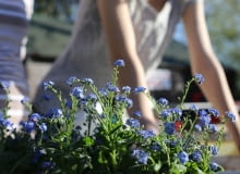 Ogród w mieście Ogród w mieście