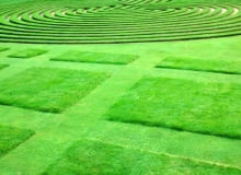 To już nie trawnik, ale prawdziwy ogrodowy dywan o ciekawej fakturze. Wzory uzyskujemy dzięki zmiennej wysokości koszenia.