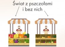 Świat z pszczołami i bez Świat z pszczołami i bez