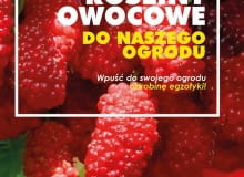 Egzotyczne rośliny owocowe do naszego ogrodu Egzotyczne rośliny owocowe do naszego ogrodu