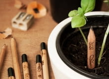 Sprout Pencils Sprout Pencils, zioła z ołówka