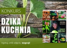 Konkurs "Dzika kuchnia" Konkurs "Dzika kuchnia"