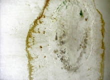 Aby skutecznie uporać się z grzybem, należy zlikwidować praprzyczynę jego występowania.