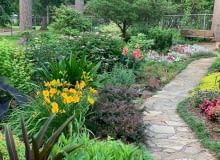 Kwitnące krzewy do ogrodu Kwitnące krzewy do ogrodu